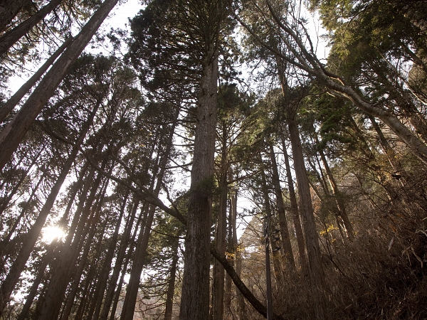 七面山~霊山でプチ修行体験~
