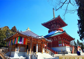 成田山新勝寺と東国三社巡り