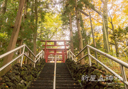 ぶどう寺大善寺と金運の新屋山神社