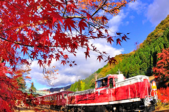 紅葉の日光とわたらせ渓谷バスツアー画像