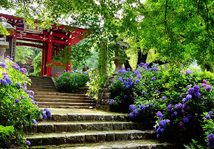 大雄山最乗寺