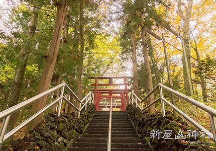 初詣 新倉山浅間公園と新屋山神社