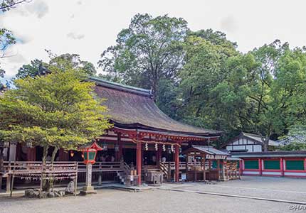 春日大社と石上神宮