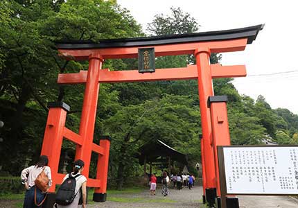 武田神社と夫婦木神社姫の宮参拝ツアー