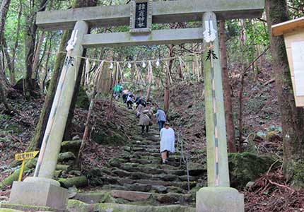 飛行機で行く出雲大社から元乃隅稲成神社を巡る 山陰パワースポットの旅