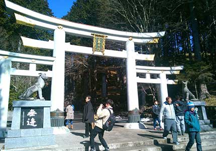 秩父羊山公園の芝桜と三峯神社参拝ツアー