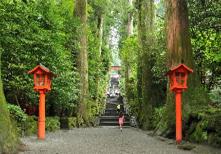 箱根神社に行けるツアーの画像