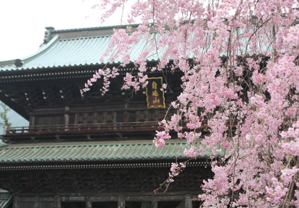 身延山久遠寺に行けるツアー画像