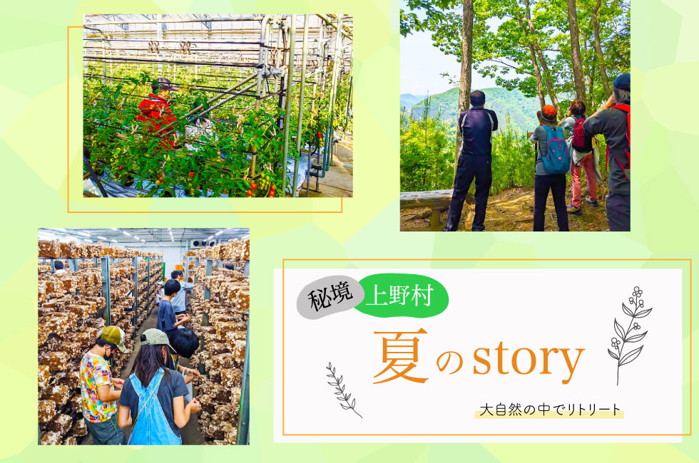 上野村夏のstory