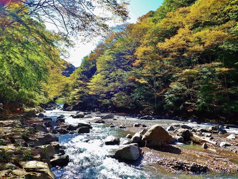 上野村春のstoryバスツアーのおすすめポイント