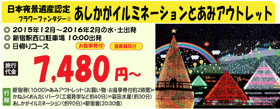 あしかがイルミネーションとあみアウトレットツアー