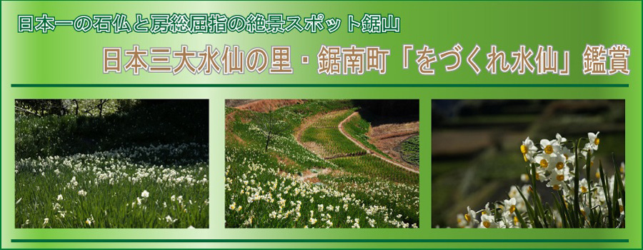 をづくれ水仙郷と鋸山日本寺参拝バスツアーのイメージ