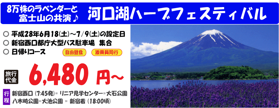 河口湖ハーブフェスティバルバスツアー