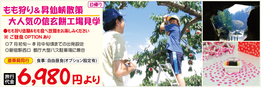 もも狩りと信玄餅・ワイン工場見学&昇仙峡散策バスツアー
