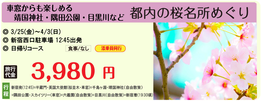 都内の桜名所めぐりバスツアー