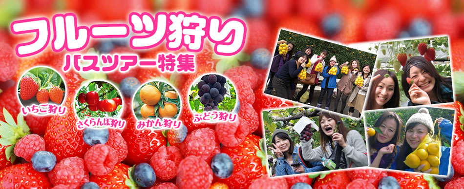 フルーツ狩りバスツアー特集