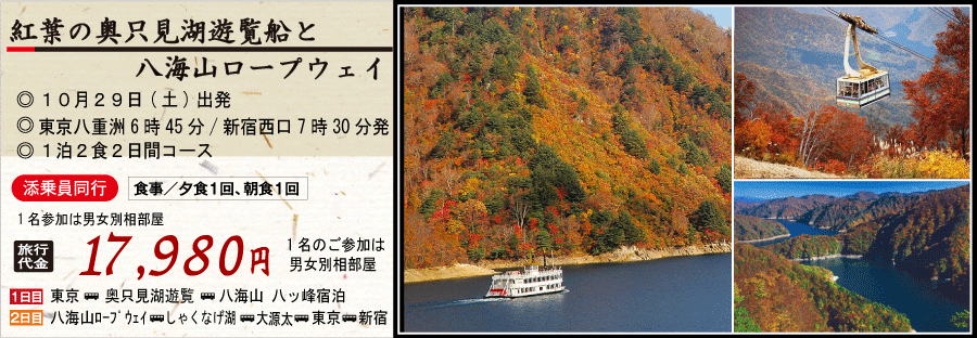 紅葉の奥只見湖 遊覧船 観光バスツアーのイメージ