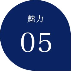 魅力5