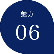 魅力6