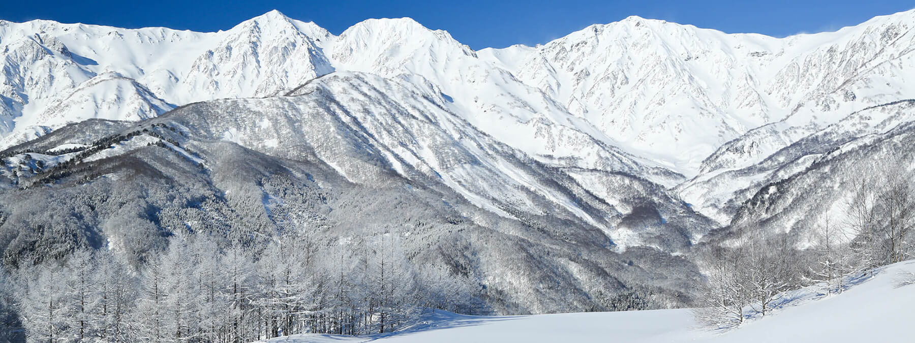 白馬岩岳スキー場のマイカープランイメージ1