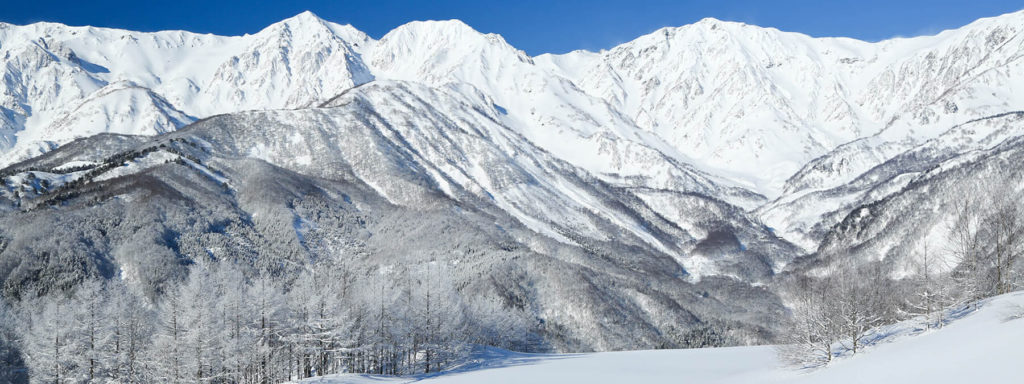 白馬岩岳スノーフィールドのイメージ1