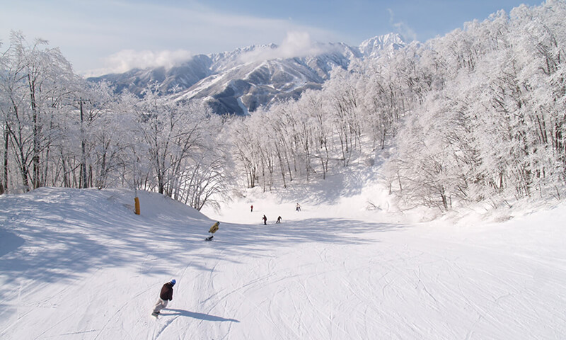 白馬岩岳スキー場のマイカープランイメージ2