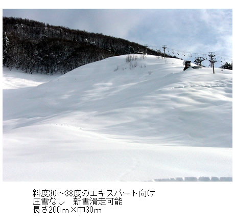 北志賀小丸山スキー場のマイカープランイメージ7