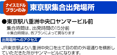 東京駅集合場所(ナイスミドルプランのみ)